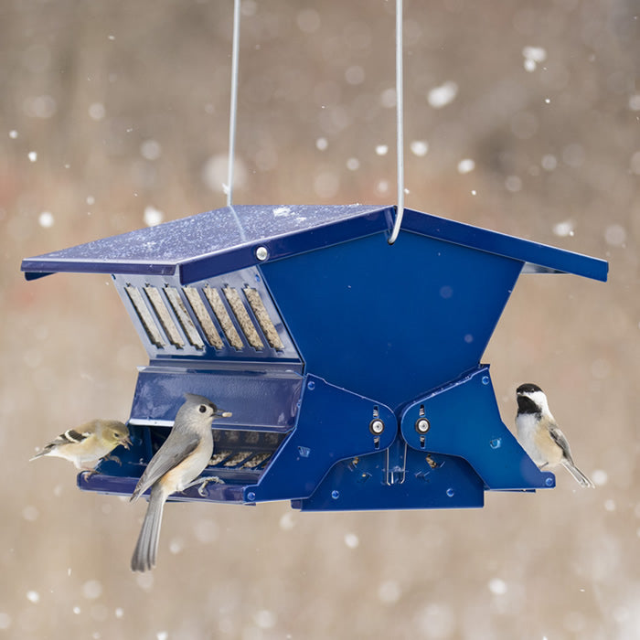 Electric Blue Absolute II bird feeder with weight-activated perches, two mounting options, and a locking roof, shown with birds feeding.