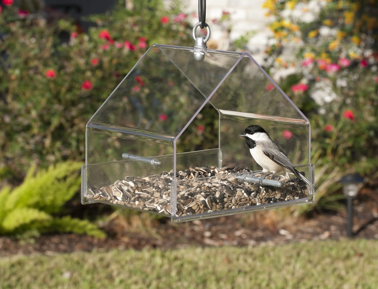 Duncraft Hanging Chalet bird feeder showing a bird perched inside. Clear plastic design for unobstructed viewing, with two perches and ample space for various bird foods.