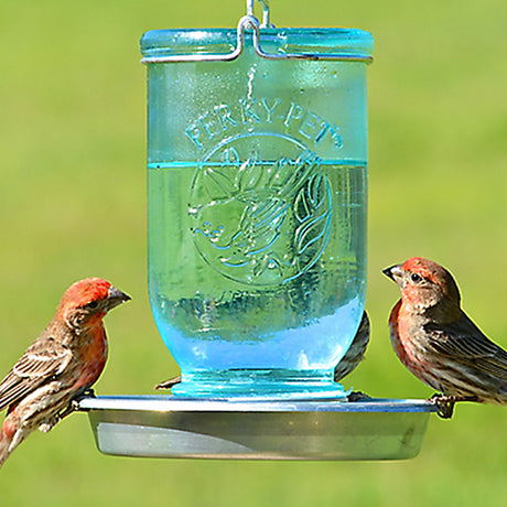 Mason Jar Wild Bird Waterer with a metal base and hanger, featuring birds perched and drinking from the water-filled openings at the bottom.