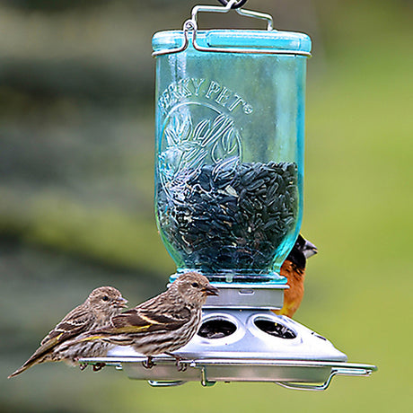 Mason Jar Wild Bird Feeder with 8 feeding ports, featuring birds perched and feeding, vintage-style design, and easy-to-clean metal base.