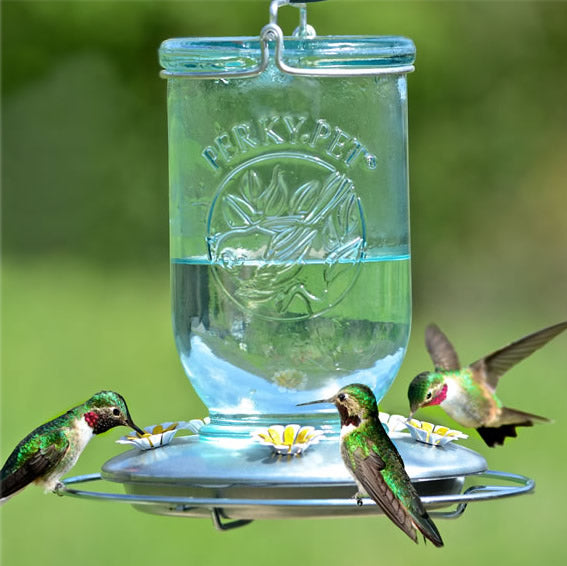 Mason Jar Hummingbird Feeder with clear, embossed glass jar and metal base, featuring several hummingbirds feeding from 5 ports.