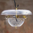 Duncraft Squirrel-Proof Tilt-Top Feeder with birds perched and feeding on the see-through, squirrel-resistant design, featuring a tilting roof and clear plastic bowl.