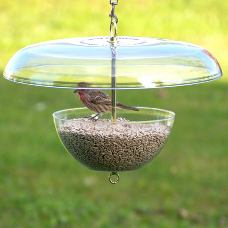 Duncraft Cardinal Feeder with clearview plastic bowl, brass-plated fittings, and a 16-inch weather guard dome, designed for easy bird access and seed viewing.