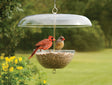 Duncraft Cardinal Feeder with birds perched and feeding from clearview plastic bowl under a dome-shaped weather guard, showcasing easy seed access and bird visibility.