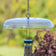 Duncraft Tilt-Top Squirrel Baffle, 16-inch clear plastic disc with S-hook, designed to tilt and safely slide squirrels off tube feeders.