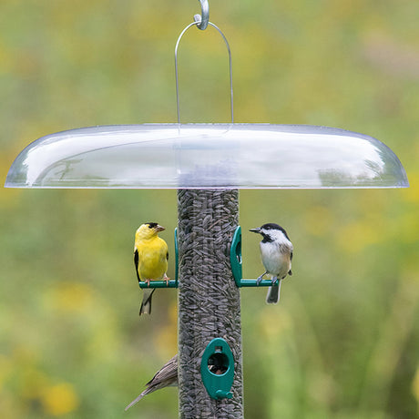 Duncraft Top Slot Squirrel Baffle installed on a bird feeder with birds perched and feeding, showcasing its protective feature against rain and snow.