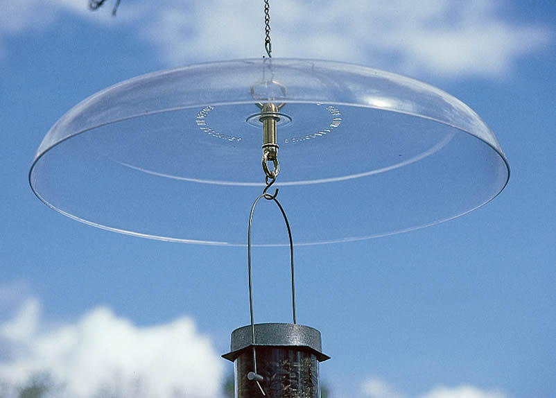 Duncraft Tilt-Top Squirrel Baffle with a clear glass dome on a metal pole, designed to tilt and slide squirrels off safely.