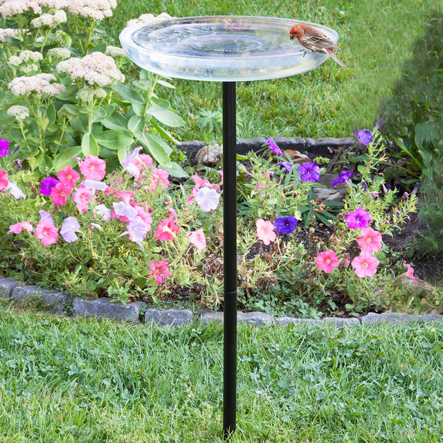 Duncraft Clear Bird Bath with Post in a garden, featuring a bird on the rim and surrounded by colorful flowers.