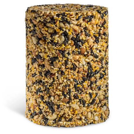 Woodpecker Seed Log, Jumbo: A 76 oz solid cylinder of premium bird feed, featuring nuts and seeds, designed for seed log feeders with a center hole.