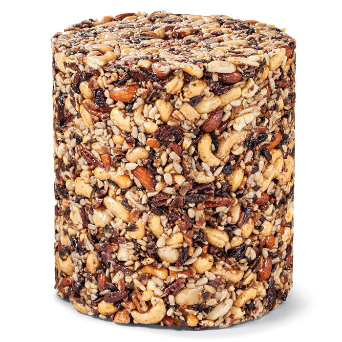 Nutsie Seed Log, Jumbo: A round seed log packed with hulled nuts and dried fruit, ideal for bird feeders with a central hole.