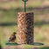 Cylinder Wire Feeder with bird perched, showcasing its design for holding seed cylinders, featuring two perching rings suitable for various bird types.