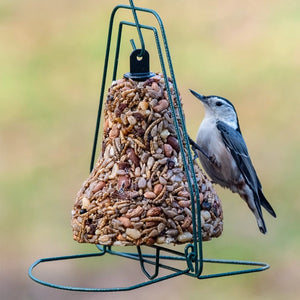 White-breasted nuthatch clinging to a Mr. Bird Seed Bell Hanger holding a seed bell.