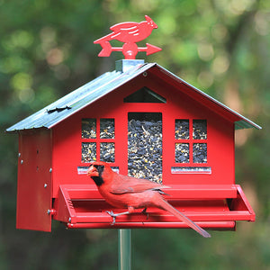 Squirrel Be Gone Country bird feeder with a bird perched on top; features weight-activated perch to deter squirrels, clear windows for seed viewing, and a locking roof.