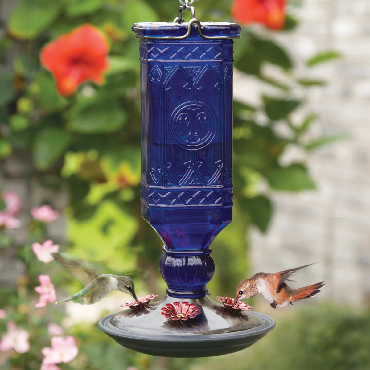 Cobalt Antique Bottle Feeder with red feeding ports, attracting hummingbirds. Features a vintage-style square glass bottle and a brushed silver metal base.