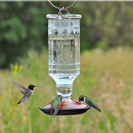 Clear Antique Bottle Nectar Feeder with embossed glass, brushed copper base, and 4 feeding ports; hummingbird feeding on the feeder outdoors.