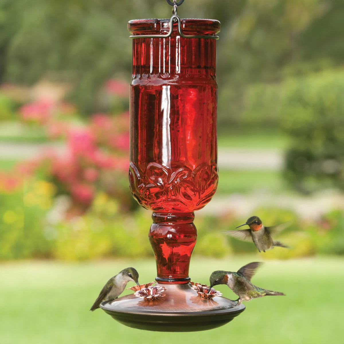 Red Antique Bottle Feeder with brushed copper base, featuring four feeding ports, attracting hummingbirds around its vintage-styled glass bottle.