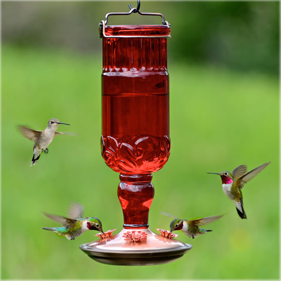 Red Antique Bottle Feeder with four feeding ports, surrounded by flying hummingbirds, showcasing its vintage design and 24 oz. capacity for nectar.