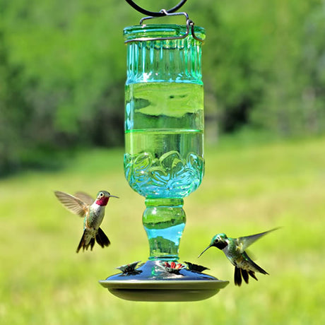 Antique Bottle Hummingbird feeder with a transparent glass reservoir and embossed details, attracting hummingbirds around its four feeding ports.