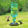 Antique Bottle Hummingbird feeder with a transparent glass reservoir and embossed details, attracting hummingbirds around its four feeding ports.