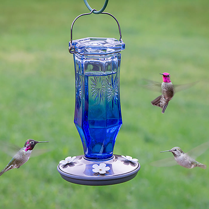 Vintage Sapphire Starburst Hummingbird Feeder with blue glass, starburst design, and white flower-shaped feeding ports, attracting hummingbirds in a garden setting.