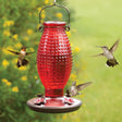 Red Hobnail Hummingbird Feeder with red glass design, metal daisy feeding ports, and built-in hanger, attracting multiple hummingbirds in an outdoor setting.