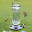 Starglow Vintage Hummingbird Feeder with red flower ports, clear glass vase, and metal hanger. Hummingbird drinking nectar from feeder.