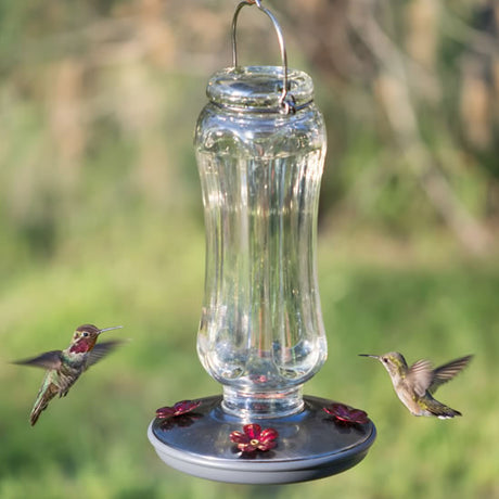 Starglow Vintage Hummingbird Feeder with red flower ports, clear glass vase, and built-in metal hanger, attracting hummingbirds mid-flight.