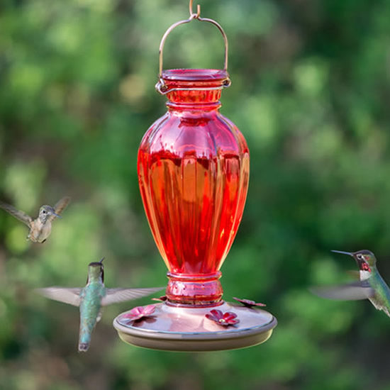 Daisy Vase Vintage Hummer Feeder featuring a red glass container with hummingbird feeding ports and a built-in metal hanger, attracting hummingbirds effortlessly.