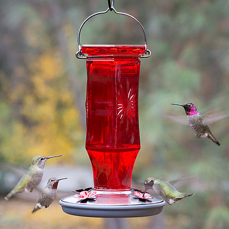 Vintage Ruby Starburst Hummingbird Feeder with birds flying around, showcasing a red glass reservoir and flower-shaped feeding ports.