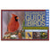Cover of Stokes Beginner’s Guide to Birds featuring a Northern Cardinal on a pine branch, with inset images of an Eastern Bluebird, Red-bellied Woodpecker, and American Goldfinch.