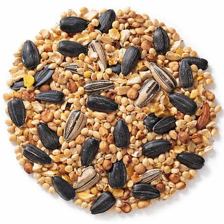 Duncraft Traditional Mix Wild Bird Seed, 5-lb bag, featuring sunflower seeds, millets, cracked corn, and sorghum, attracts finches, sparrows, and chickadees.