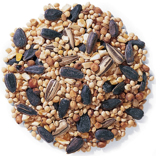 Duncraft Traditional Mix Wild Bird Seed, 5-lb bag, featuring a blend of millet, milo, wheat, sunflower seeds, corn, and peanut hearts.