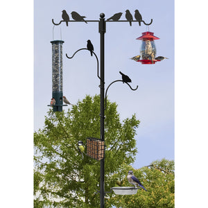 85" Perching Birds Feeding Station