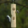 Downy woodpecker and chickadee feeding from a hanging cedar suet log feeder.