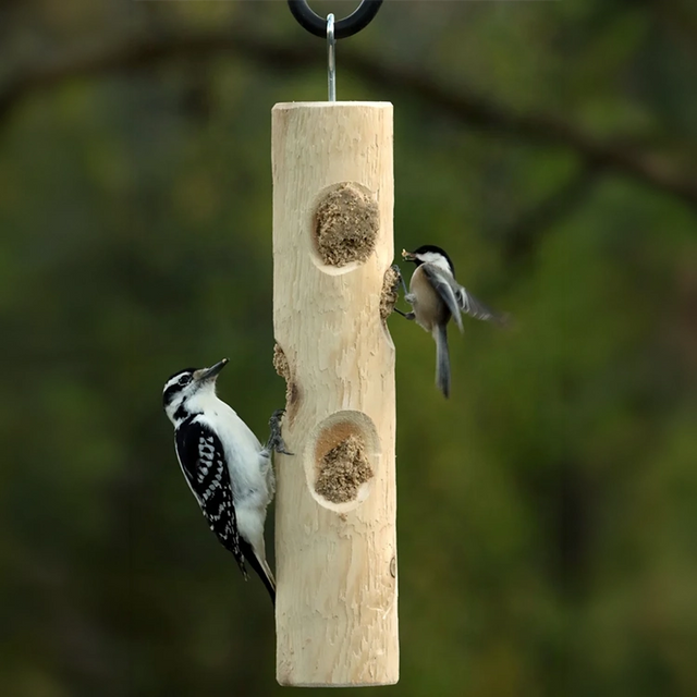 Downy woodpecker and chickadee feeding from a hanging cedar suet log feeder.