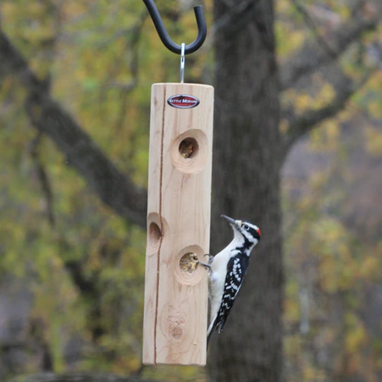 Downy woodpecker clinging to a hanging cedar suet log feeder in a backyard setting.