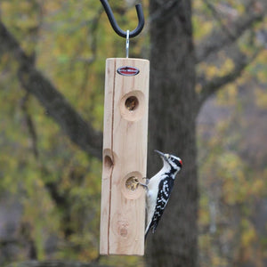 Downy woodpecker clinging to a hanging cedar suet log feeder in a backyard setting.