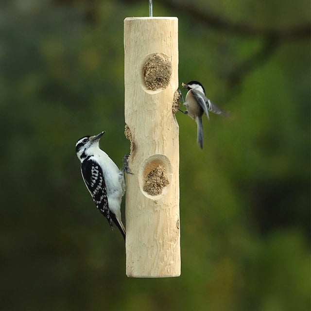 Downy woodpecker and chickadee feeding from a hanging cedar suet log feeder.