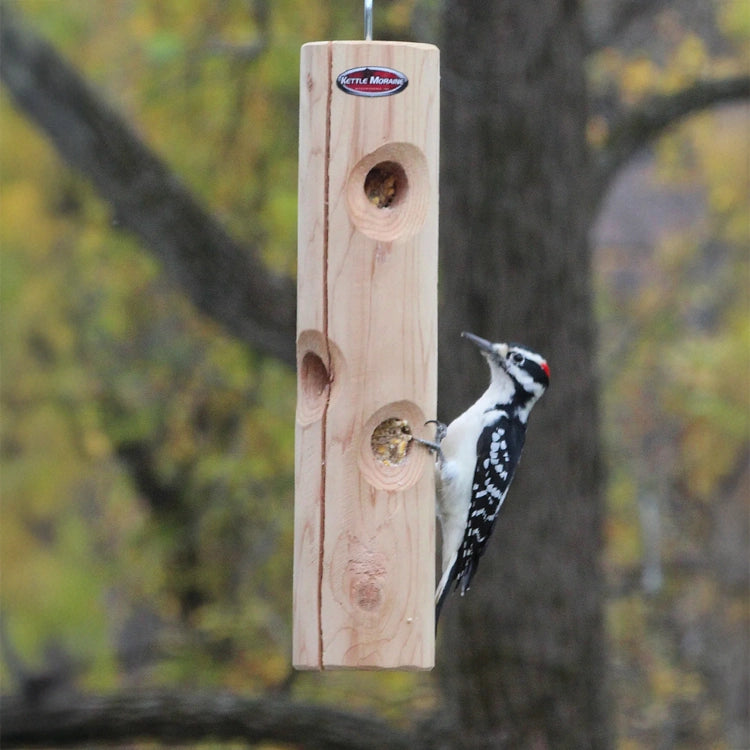 Downy woodpecker clinging to a hanging cedar suet log feeder in a backyard setting.