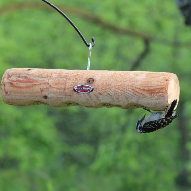 Downy woodpecker clinging upside down to a hanging cedar log feeder while feeding.