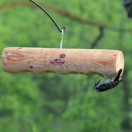 Downy woodpecker clinging upside down to a hanging cedar log feeder while feeding.