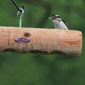 Downy woodpecker perched on a hanging cedar log feeder with food in its beak.