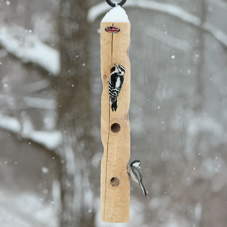 Downy woodpecker and chickadee feeding from a hanging cedar log suet feeder in snowy weather