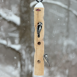 Downy woodpecker and chickadee feeding from a hanging cedar log suet feeder in snowy weather