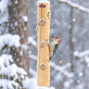 Red-bellied woodpecker feeding from a hanging cedar log suet feeder during winter.
