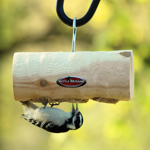 Downy woodpecker feeding from a hanging cedar log suet feeder for backyard birds.