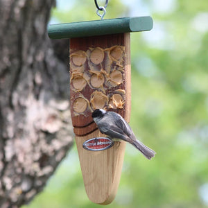 Black-capped chickadee feeding from a cedar bark butter feeder with protective roof.