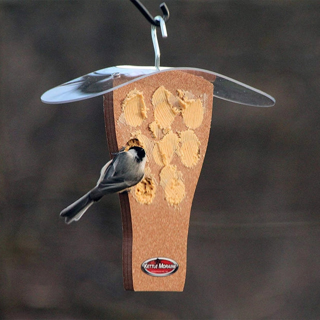 Black-capped chickadee feeding from a recycled-plastic bark butter feeder with protective clear weather shield.