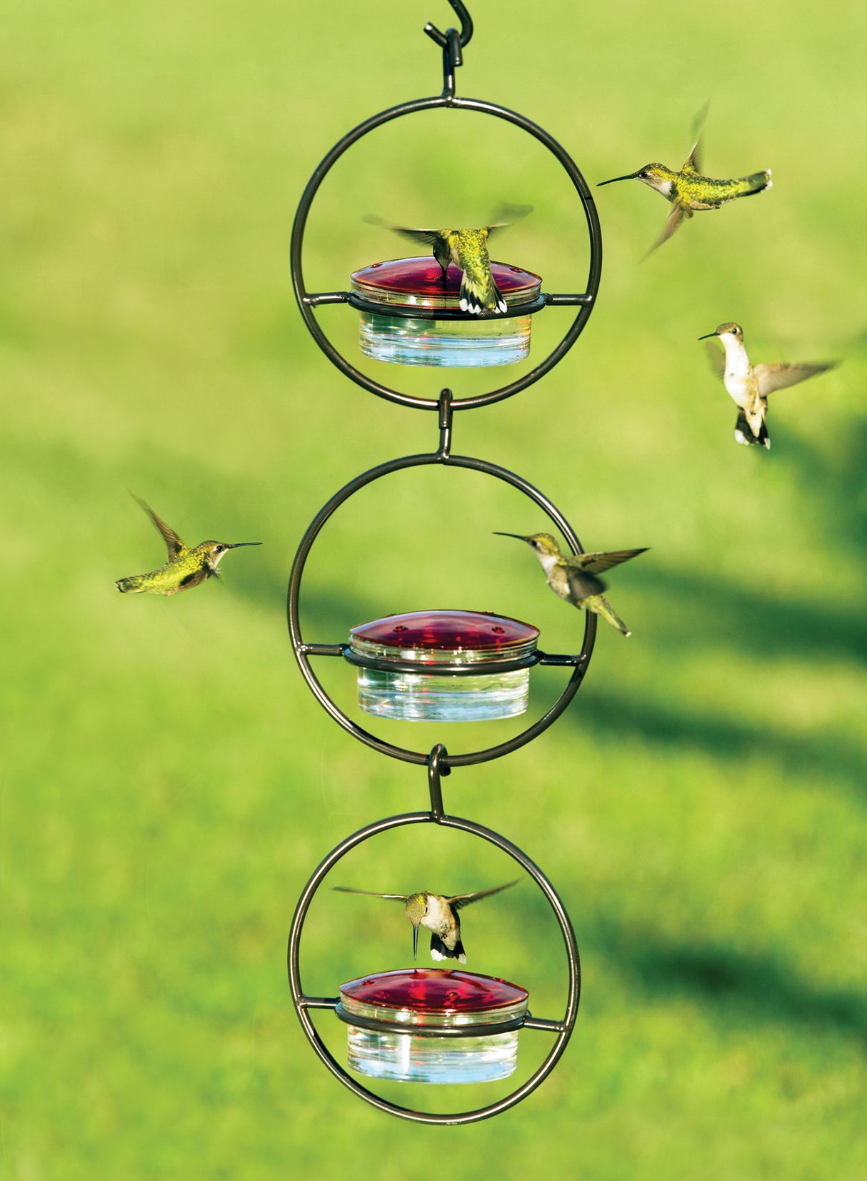 Sphere Hummingbird Feeder, Set of 3, showing multiple hummingbirds flying around the durable steel-framed feeders with red glass lids and removable dishes.