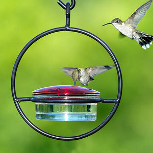 Sphere Hummingbird Feeder with a red glass lid, four feeding ports, and a durable black steel frame, shown with a hummingbird flying near it.